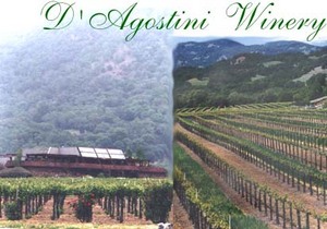 Web-dagostini
