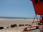 Kakahaia Beach Park