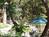 Creekhaven Inn::BedAndBreakfast.com