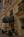 Tazewell Hotel And Suites::Orbitz
