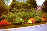 Blithewold Mansion, Gardens & Arboretum