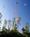 Americas Best Value Inn And Suites::Expedia