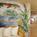 Le Merigot A JW Marriott from Orbitz