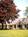 The Grandfield Bed&Breakfast::BedAndBreakfast.com
