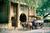 Vendue Inn::BedAndBreakfast.com