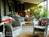 White Birches Inn::BedAndBreakfast.com