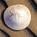 Inn at Cannon Beach::Expedia