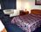 Super 8 Motel - Bedford::Orbitz