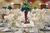 Crowne Plaza Resort Anaheim Garden Grove from Orbitz