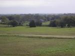 Belle of Round Top