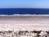 Hilton Head Bch And Tennis Rst::Expedia