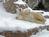 Henry Vilas Zoo from Henry Vilas Zoo