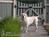 Main Street Manor Bed and Breakfast from BedAndBreakfast.com
