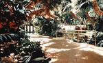Golden Nugget Laughlin