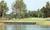 Best Western Palmetto Inn from Expedia