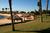 Avi Resort And Casino::Orbitz