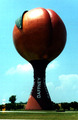 Tn-peachoid2