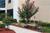 Holiday Inn Express Ft Payne::Priceline.com