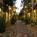 Emerald Suites Nellis::Hotels.com