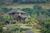 The Palmwood::TripAdvisor