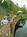 Disney's Fort Wilderness Resort & Campground::Hotels.com