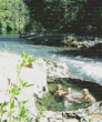 Tn-200707222021063