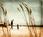 Inn At Newport Beach::Hotels.com