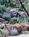 Desert Willow Bed and Breakfast::BedAndBreakfast.com