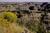 Theodore Roosevelt National Park from Forbestravel.com