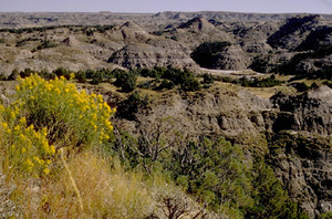 Web-national-park-01-g