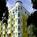 Mediterranean Inn::Travelocity