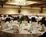 Holiday Inn Southwest Viking::Orbitz