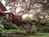 Dragonfly Ranch::BedAndBreakfast.com