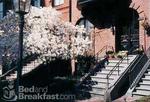 Beacon Hill Bed and Breakfast
