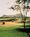 Tempe Mission Palms Hotel and Conference Center::Orbitz