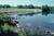 Windsor State Forest::ReserveAmerica.com