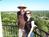 The Bohemian Bed and Breakfast::BedAndBreakfast.com