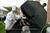 Holiday Inn Eau Claire Campus Area::Orbitz