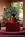 Holiday Inn Charleston Airport & Conv Ctr::Travelocity.com