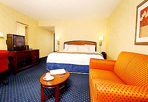 Web-gsp_cour-rooms-1
