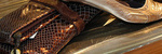 Shoefly