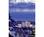 Casino at Harrah's Lake Tahoe::Epinions.com