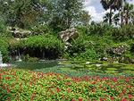 Kanapaha Botanical Gardens
