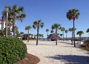 Web-csc_hilt-beach-3