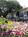 Inn At Rancho Santa Fe from Priceline.com