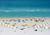 The Royal Palm Hotel::Hotels.com