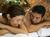 Virginia Beach Massage Therapy from SpaFinder.com
