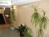 Holiday Inn Express Des Moines, Iowa::Priceline.com