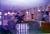 Super 8 Motel - Delmont::Orbitz