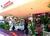 Best Western Casablanca Inn::Expedia